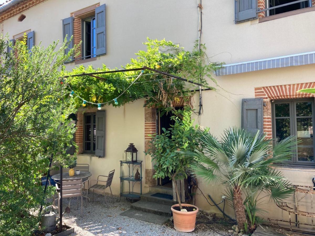 16 Bis-Gite-Hotel-Studio Marssac-sur-Tarn 外观 照片