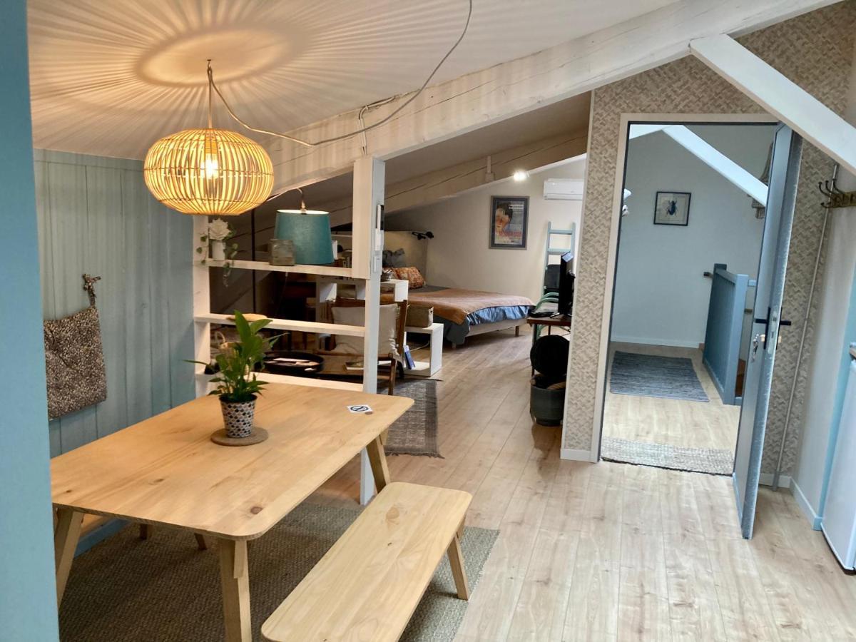 16 Bis-Gite-Hotel-Studio Marssac-sur-Tarn 外观 照片