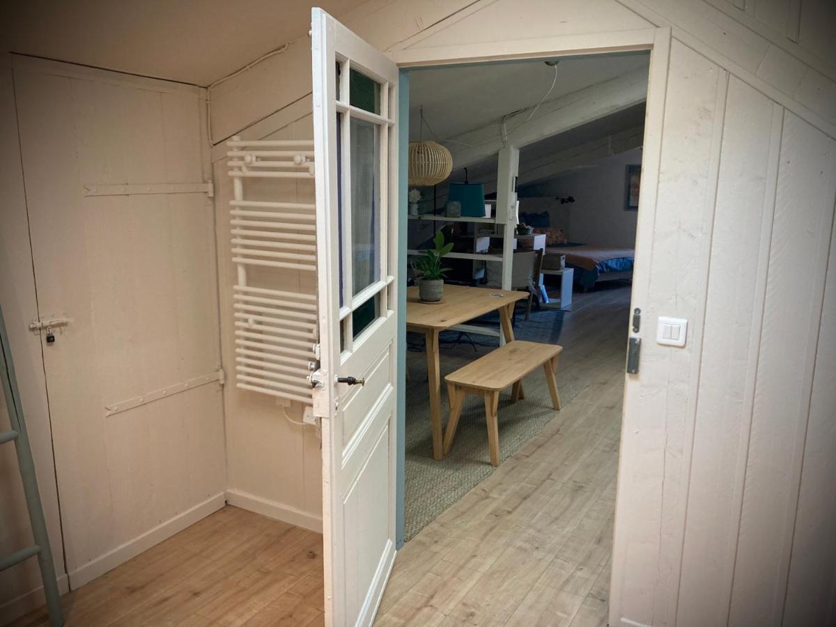 16 Bis-Gite-Hotel-Studio Marssac-sur-Tarn 外观 照片