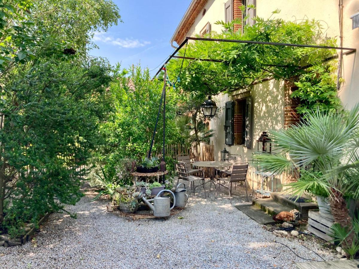 16 Bis-Gite-Hotel-Studio Marssac-sur-Tarn 外观 照片